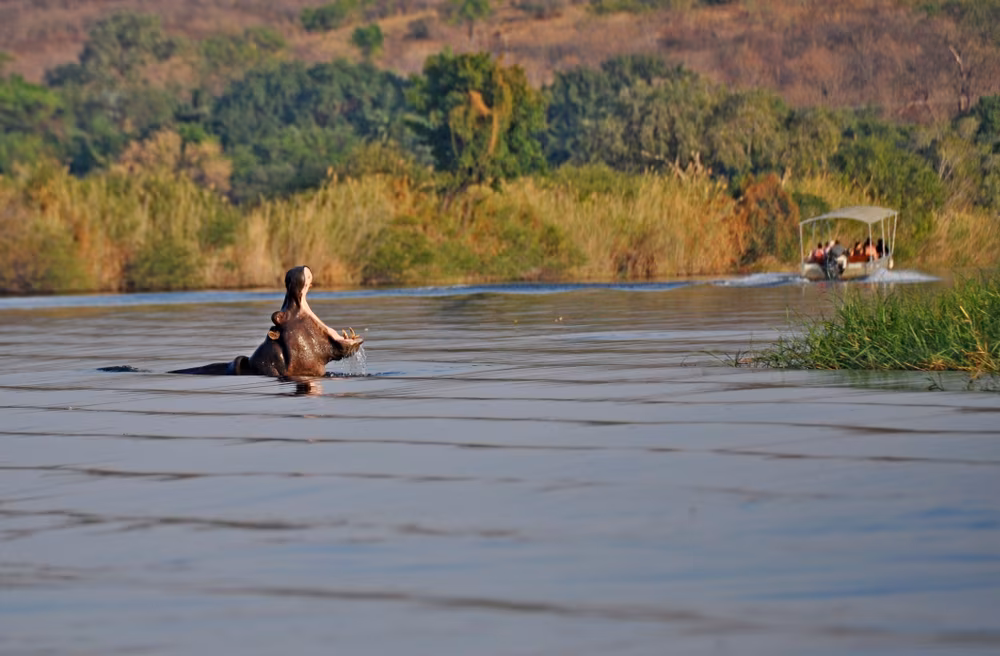 Loango, das Königreich der Wildnis